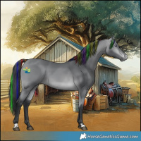 Horse Color:Painted Bay Chinchilla