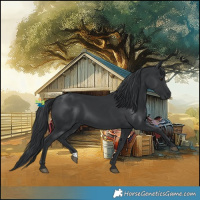 Horse Color:Black Chinchilla 