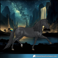 Horse Color:Black Chinchilla 