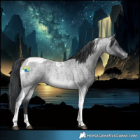 Horse Color:Brown Chinchilla Roan Tobiano 