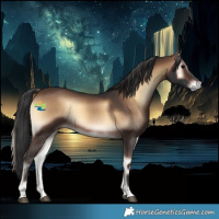 Horse Color:Brown Onyx 