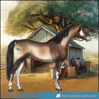 Horse Color:Brown Onyx 
