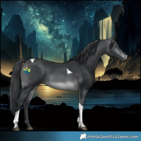 Horse Color:Brown Chinchilla Tobiano Rabicano 