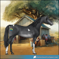Horse Color:Brown Chinchilla Tobiano Rabicano