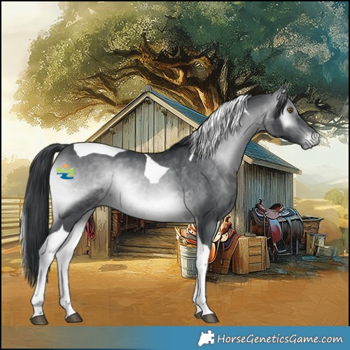 Horse Color:Brown Chinchilla Onyx Tobiano 