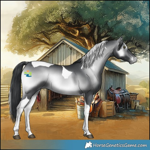 Horse Color:Brown Chinchilla Onyx Tobiano 