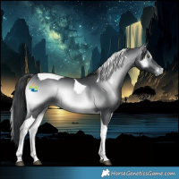 Horse Color:Brown Chinchilla Onyx Tobiano