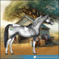 Horse Color:Brown Chinchilla Onyx Tobiano