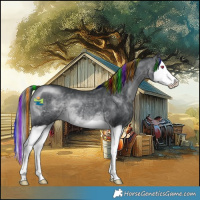 Horse Color:Painted Brown Chinchilla Splash 