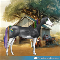Horse Color:Painted Brown Chinchilla Splash