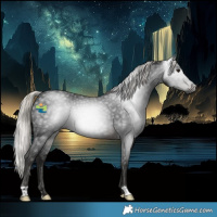 Horse Color:Gray Silver Brown Rabicano 