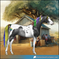 Horse Color:Gray Painted Brown Chinchilla Splash Tobiano Rabicano 