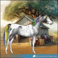 Horse Color:Gray Painted Brown Chinchilla Splash Tobiano Rabicano 