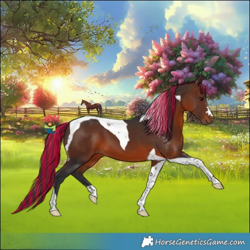 Horse Color:Painted Brown Tobiano 