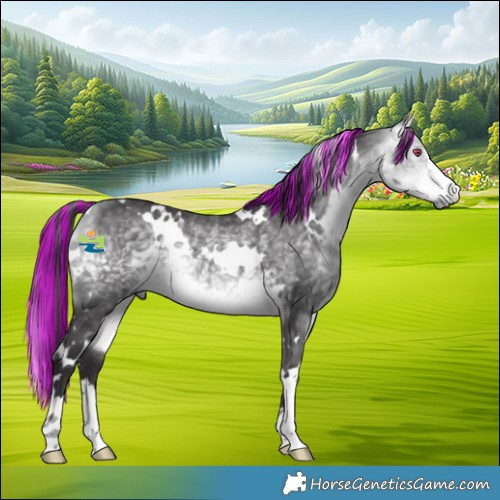 Horse Color:Painted White Spotted Buckskin Chinchilla 