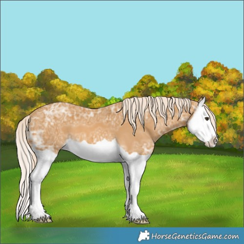 Horse Color:Palomino Ice Splash 