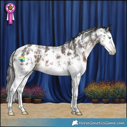 Horse Color:Liver Chestnut Sabino Splash 