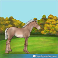 Horse Color:Liver Chestnut Pearl Mushroom 