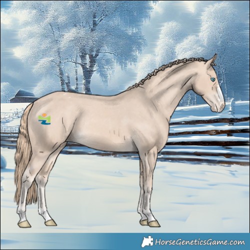 Horse Color:Perlino Appaloosa Rabicano 