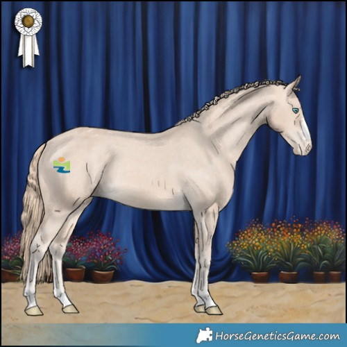 Horse Color:Perlino Appaloosa Rabicano 