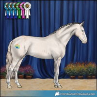 Horse Color:Perlino Appaloosa Rabicano 