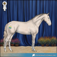 Horse Color:Perlino Appaloosa Rabicano