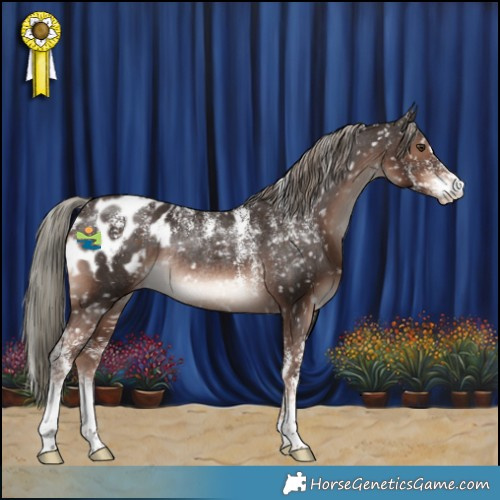 Horse Color:Powder White Liver Chestnut Mushroom Appaloosa Rabicano 