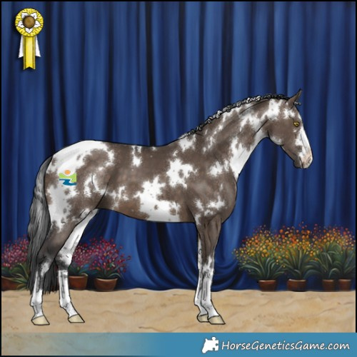 Horse Color:White Spotted Brown Dun 