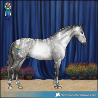 Horse Color:Powder White Gray White Spotted Black Mushroom 