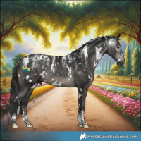 Horse Color:Powder White Gray White Spotted Black Mushroom