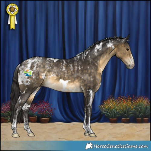 Horse Color:Powder White White Spotted Buckskin 