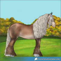 Horse Color:Gray Liver Chestnut Pearl Mushroom