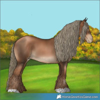 Horse Color:Gray Liver Chestnut Pearl Mushroom