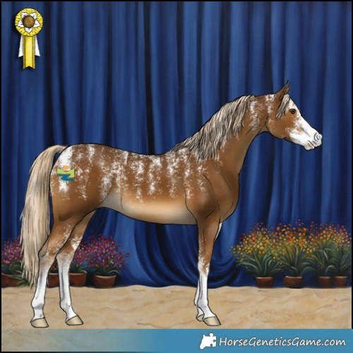 Horse Color:Powder White Chocolate Palomino 