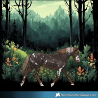 Horse Color:White Spotted Liver Chestnut 