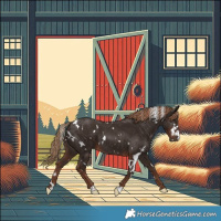 Horse Color:White Spotted Liver Chestnut 