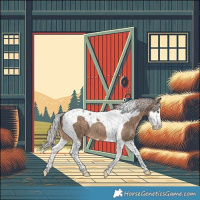 Horse Color:Silver Brown Dun Splash Tobiano 