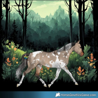 Horse Color:White Spotted Bay Dun Tobiano Rabicano