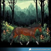 Horse Color:Bay Tobiano 