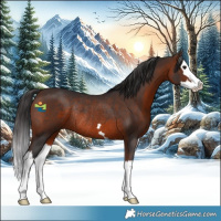 Horse Color:Brown Splash Rabicano 