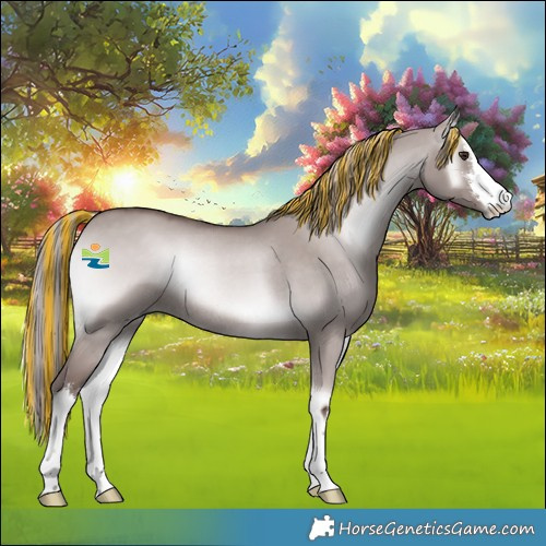 Horse Color:Platinum Painted White Spotted Red Dun Onyx Rabicano 