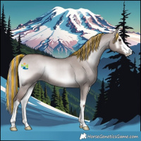 Horse Color:Platinum Painted White Spotted Red Dun Onyx Rabicano 