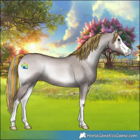 Horse Color:Platinum Painted White Spotted Red Dun Onyx Rabicano 