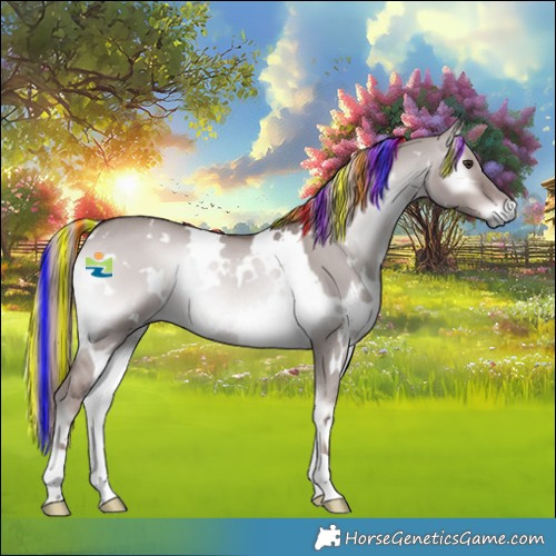 Horse Color:Platinum Painted White Spotted Red Dun Onyx Rabicano 