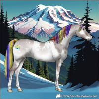 Horse Color:Platinum Painted White Spotted Red Dun Onyx Rabicano 