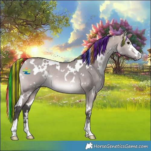 Horse Color:Platinum Painted White Spotted Bay Dun Rabicano 