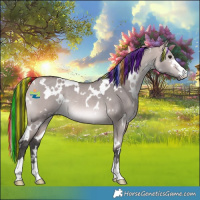 Horse Color:Platinum Painted White Spotted Bay Dun Rabicano 