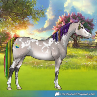 Horse Color:Platinum Painted White Spotted Bay Dun Rabicano 