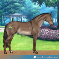 Horse Color:Liver Red Dun 