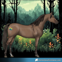 Horse Color:Liver Red Dun 